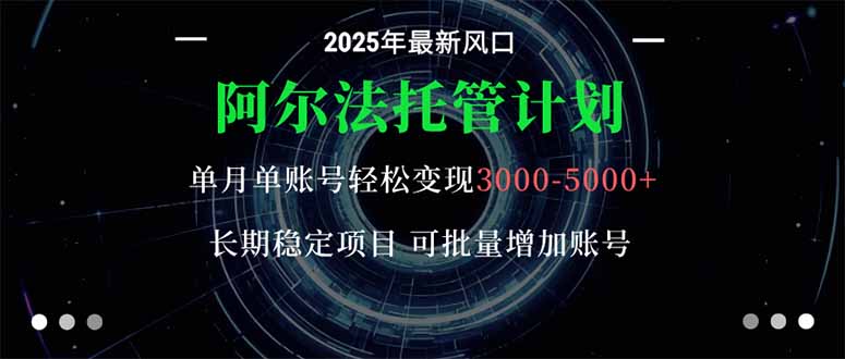 阿尔法托管计划 单账号月入3000-5000，长期稳定项目，新手小白轻松上手。-摇钱述